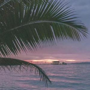 大尺牍韩剧在线观看免费无马赛克电影
