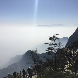 大尺牍韩剧在线观看免费无马赛克电影
